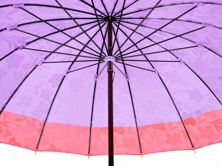 前原光榮商店 レディース 長傘 カーボン 55cm 16本骨  傘 雨傘 女性 大人 日本製 おしゃれ 高級 婦人傘 ギフト プレゼント 贈り物 誕生日 母の日
